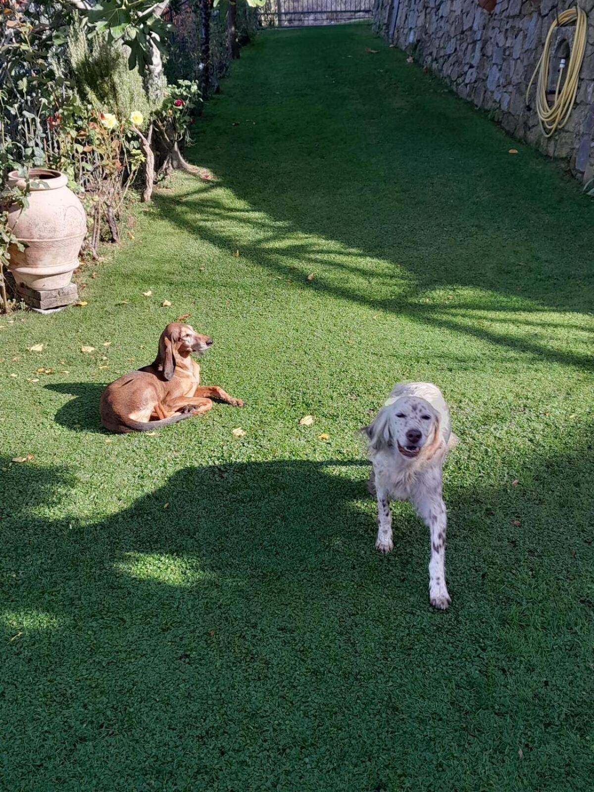 Bed and Breakfast La Sosta Di Fano Reggello Exterior foto