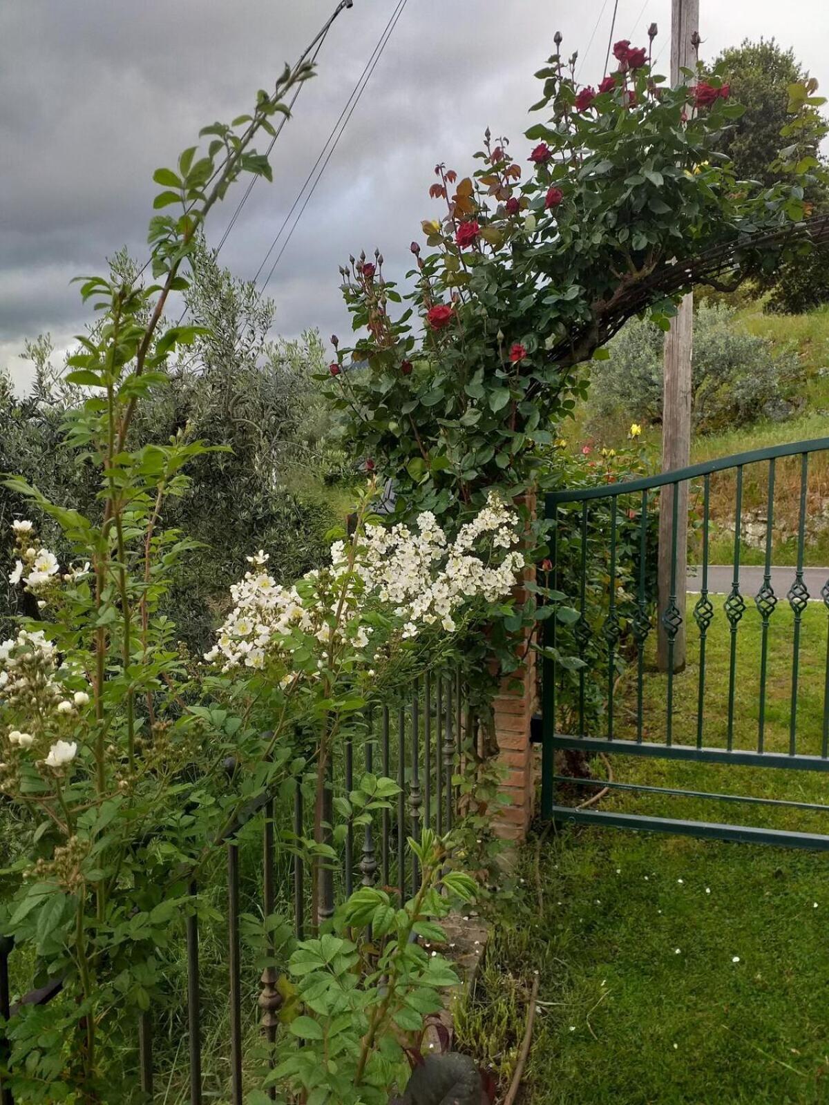 Bed and Breakfast La Sosta Di Fano Reggello Exterior foto