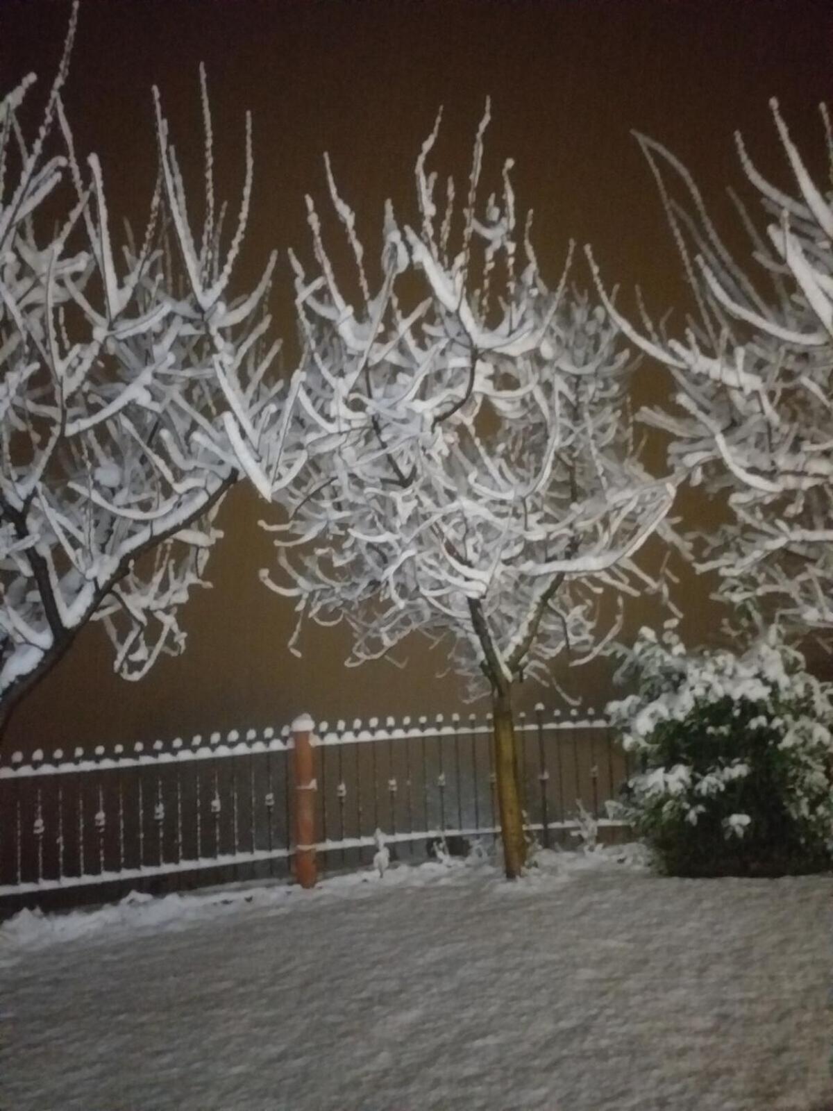 Bed and Breakfast La Sosta Di Fano Reggello Exterior foto